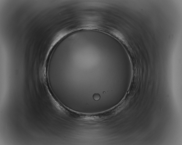 X0000087711466200705041049