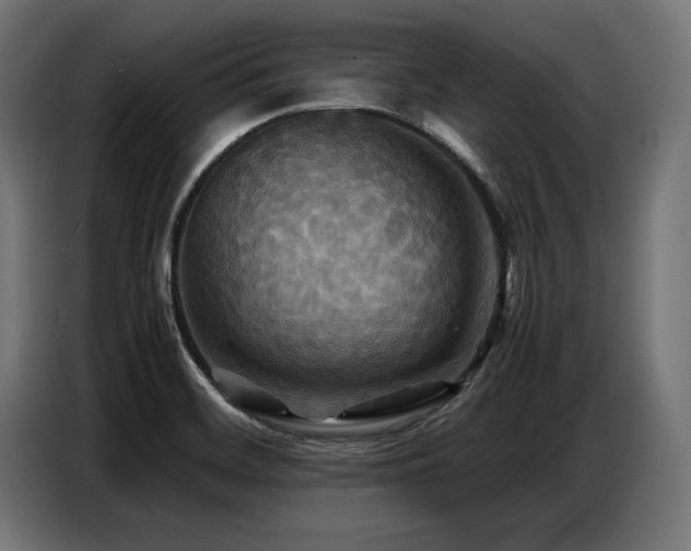 X0000087711468200705041049