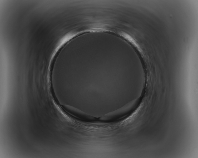 X0000087711469200705041049