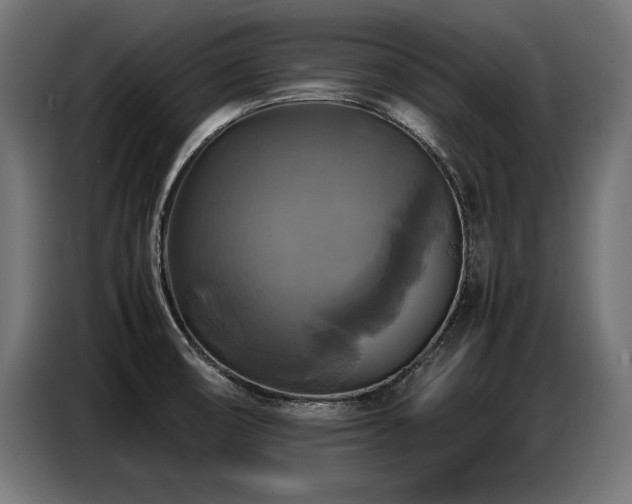 X0000087711474200705041049