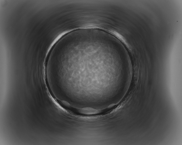 X0000087711476200705041049