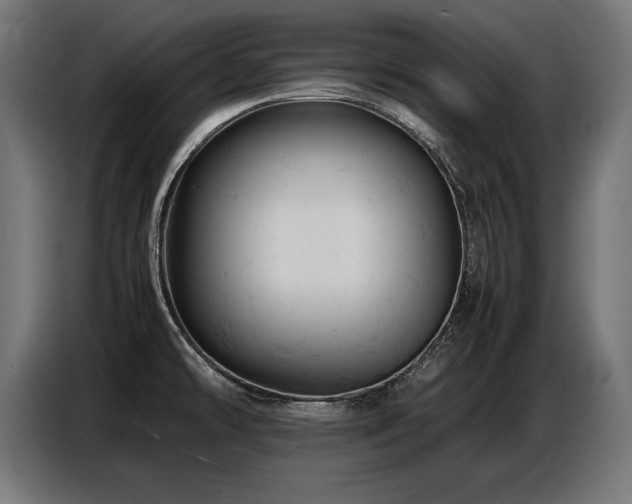X0000087711478200705041049