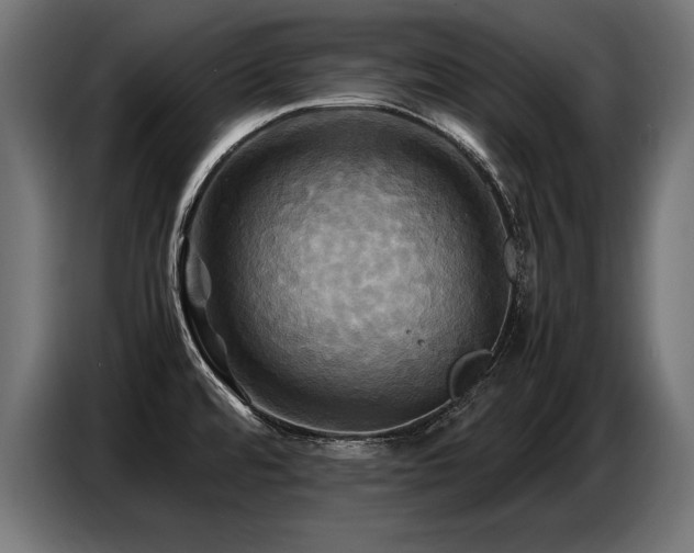 X0000087711480200705041049