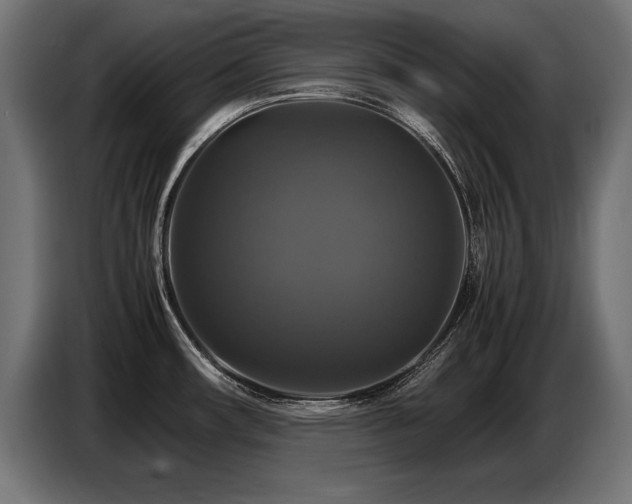 X0000087711482200705041049