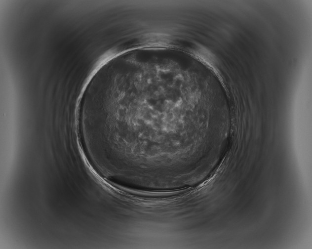 X0000087711483200705041049