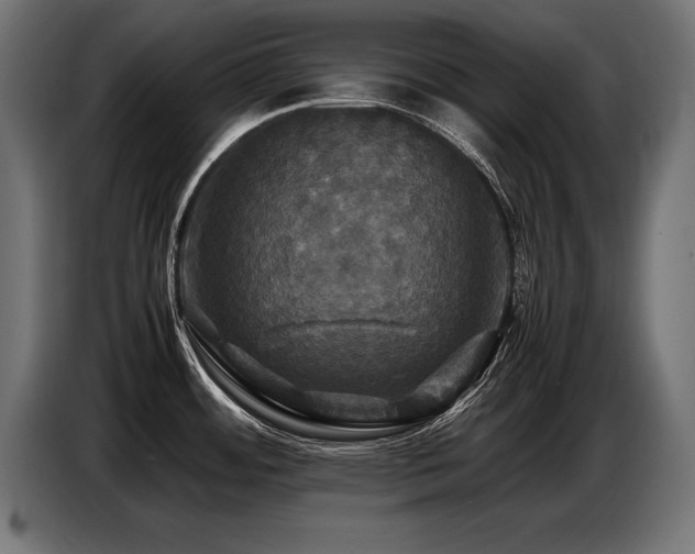 X0000087711484200705041049