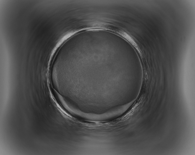 X0000087711485200705041049