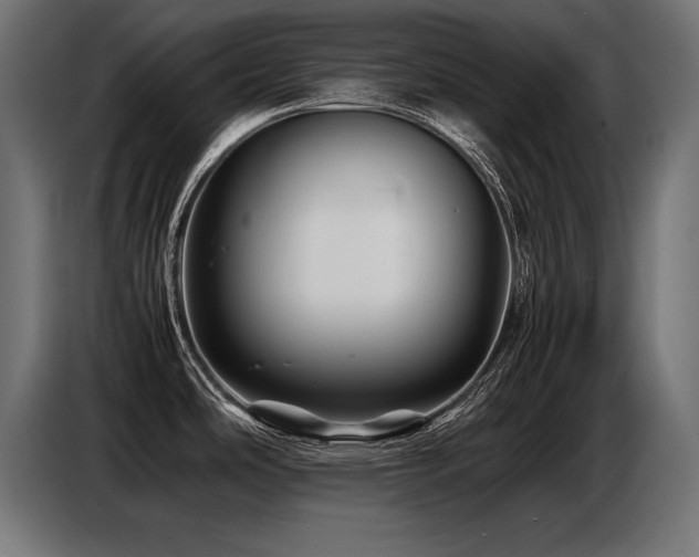X0000087711486200705041049