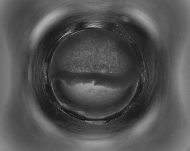 X0000087711487200705041049