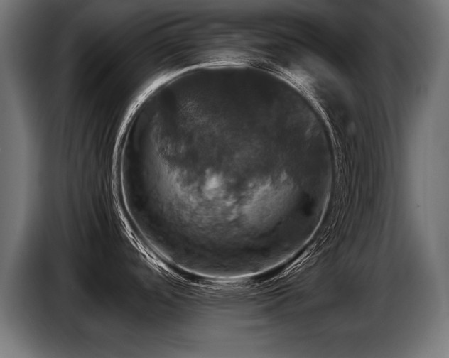 X0000087711488200705041049