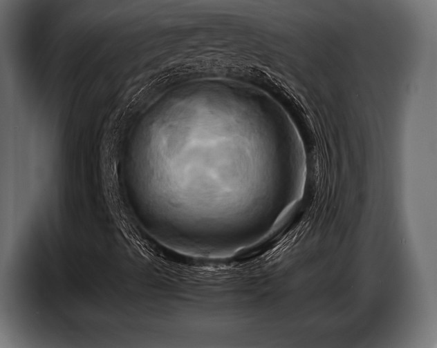 X0000087711489200705041049