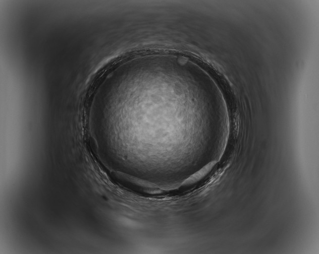 X0000087711494200705041049