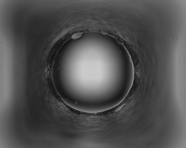 X0000087711495200705041049