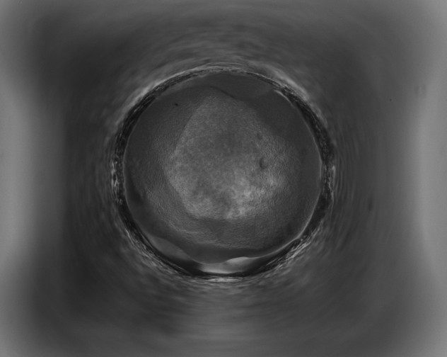 X0000087711496200705041049
