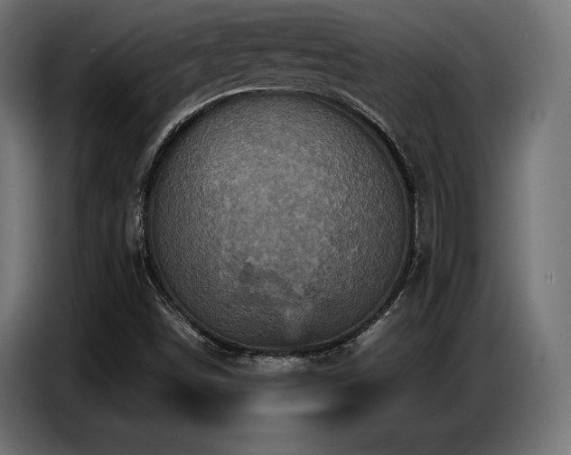 X0000087711498200705041049