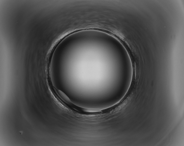 X0000087711500200705041049