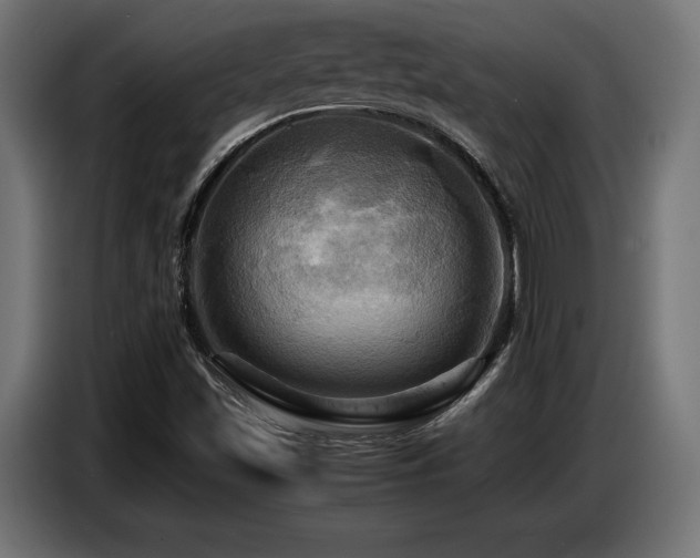 X0000087711501200705041049