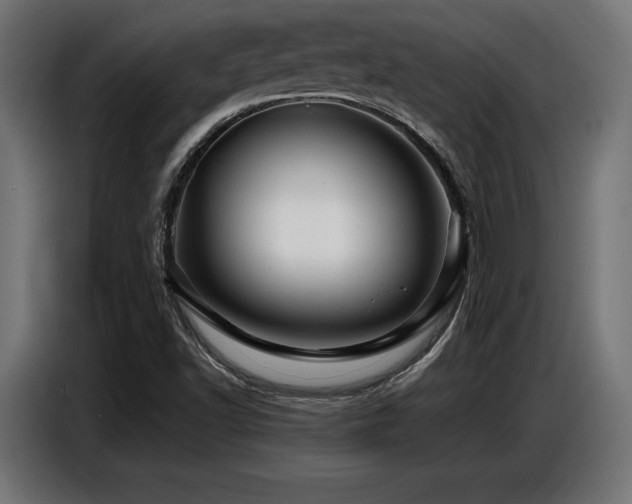 X0000087711502200705041049