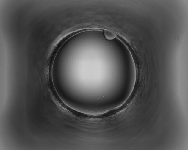 X0000087711503200705041049
