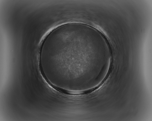 X0000087711504200705041049
