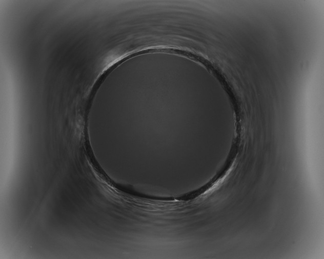 X0000087711505200705041049