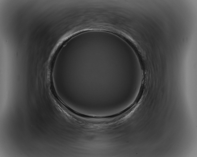 X0000087711506200705041049
