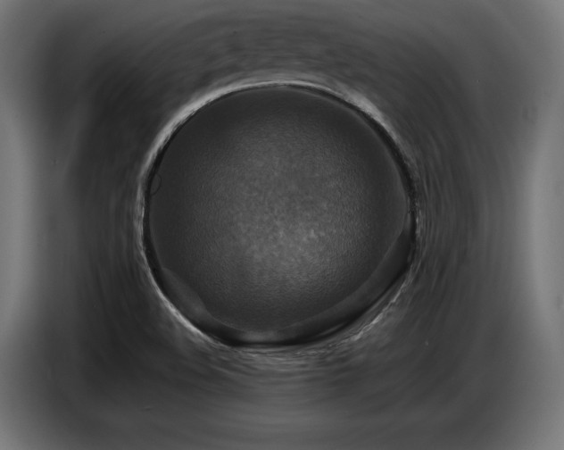 X0000087711508200705041049