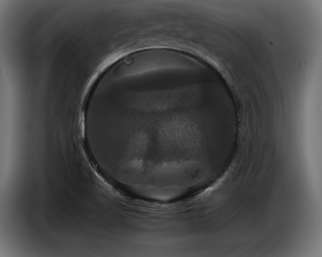 X0000087711509200705041049