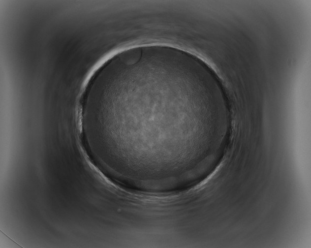 X0000087711510200705041049