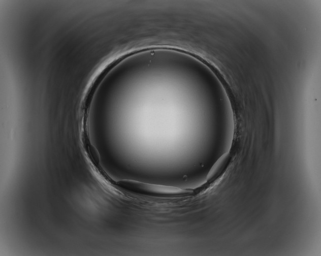 X0000087711511200705041049