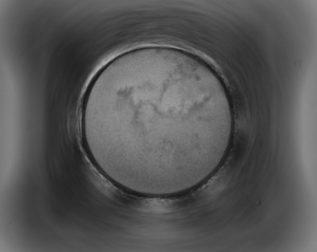 X0000087711514200705041049