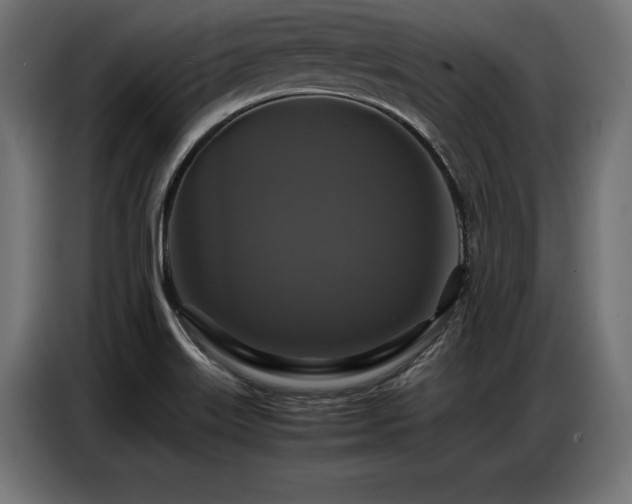 X0000087711515200705041049