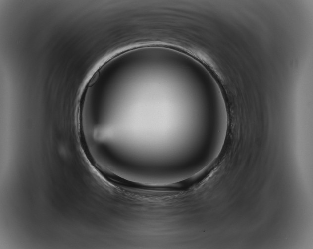 X0000087711516200705041049