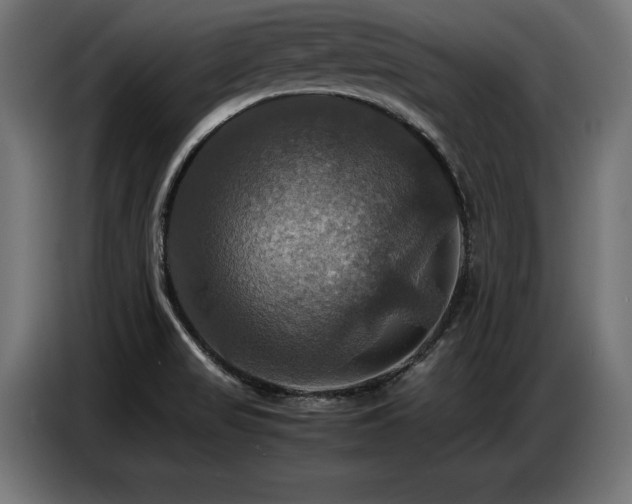 X0000087711517200705041049