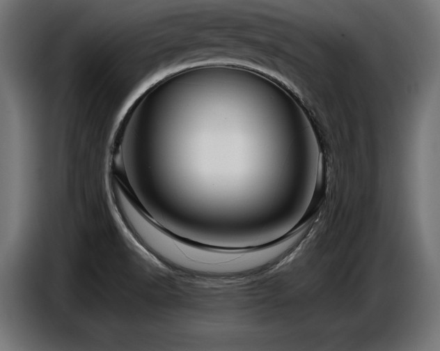 X0000087711518200705041049