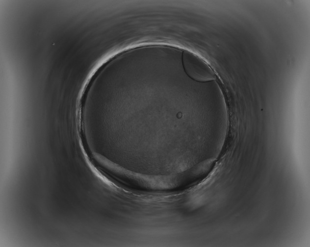 X0000087711519200705041049