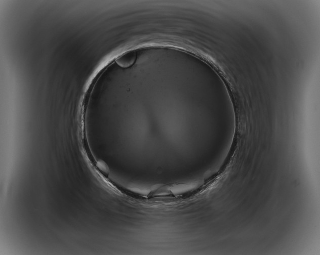 X0000087711522200705041049