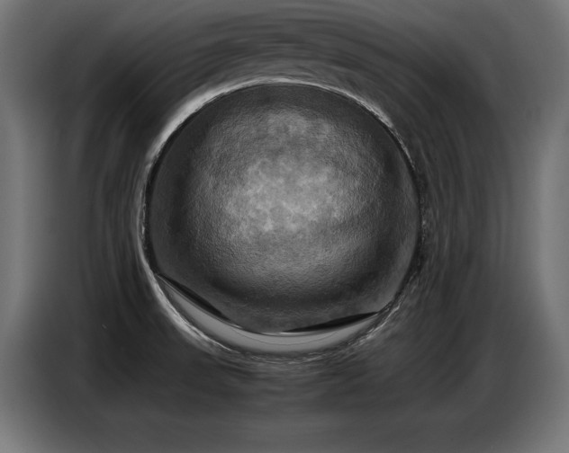 X0000087711523200705041049