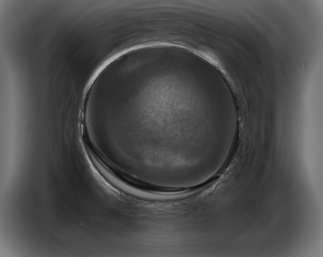 X0000087711524200705041049