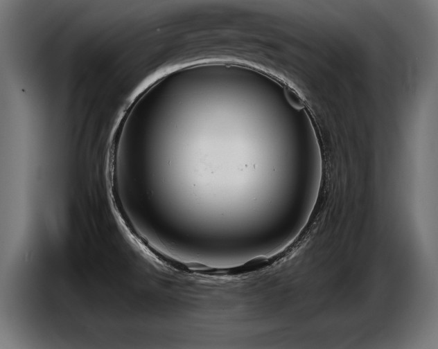 X0000087711526200705041049