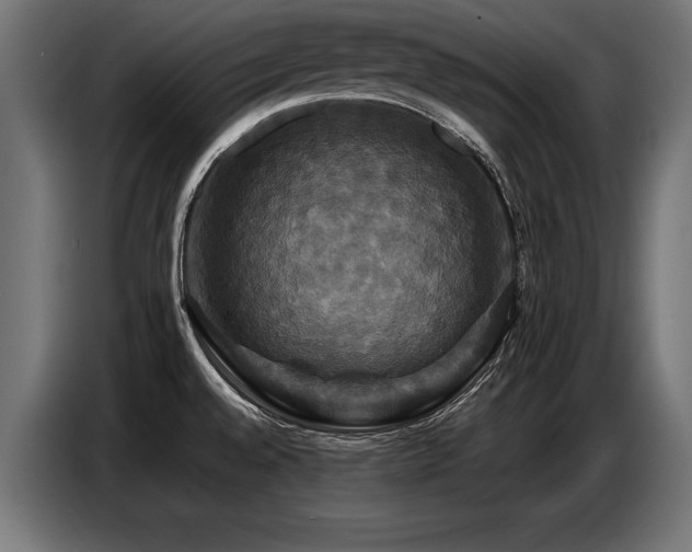 X0000087711528200705041049