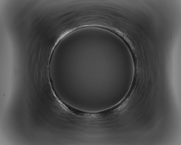X0000087711529200705041049