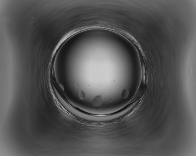 X0000087711530200705041049