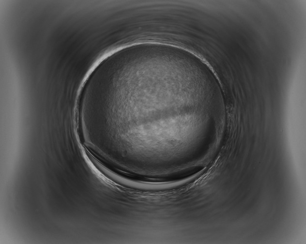 X0000087711531200705041049