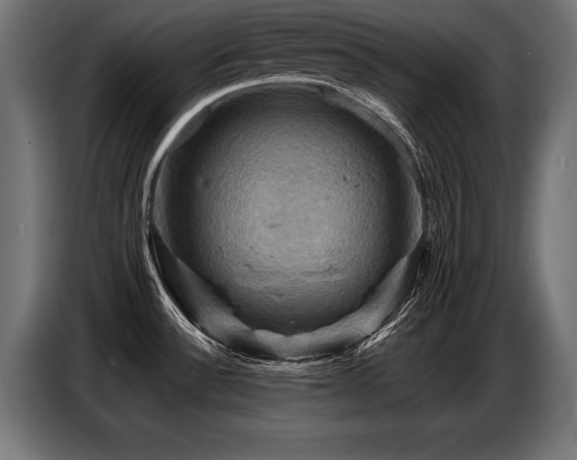 X0000087711532200705041049