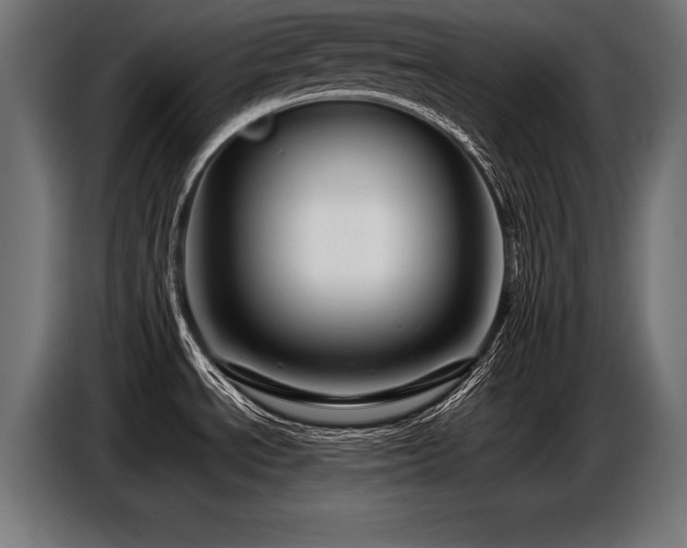 X0000087711534200705041049