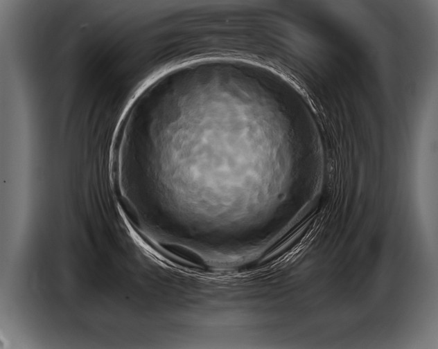 X0000087711535200705041049