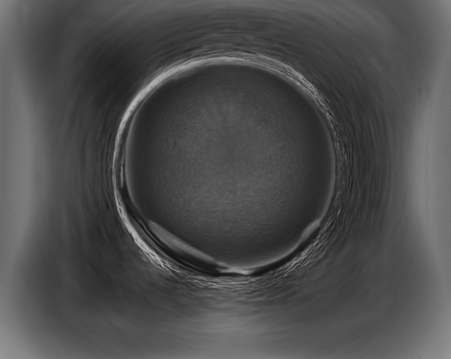 X0000087711536200705041049