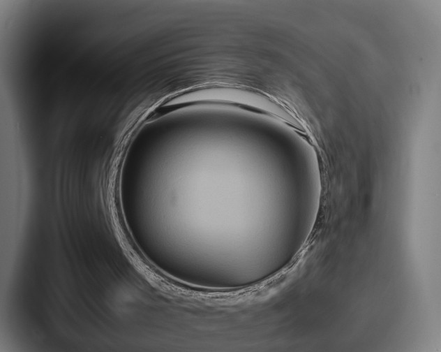 X0000087710001200705111429