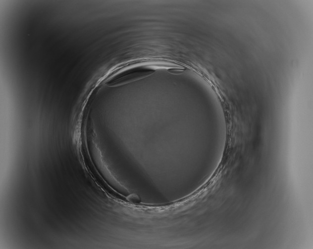 X0000087710002200705111429